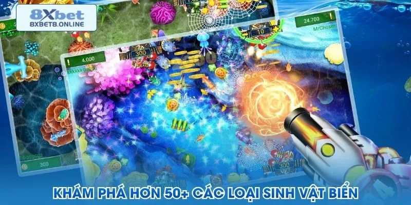 Khám phá hơn 50+ các loại sinh vật biển