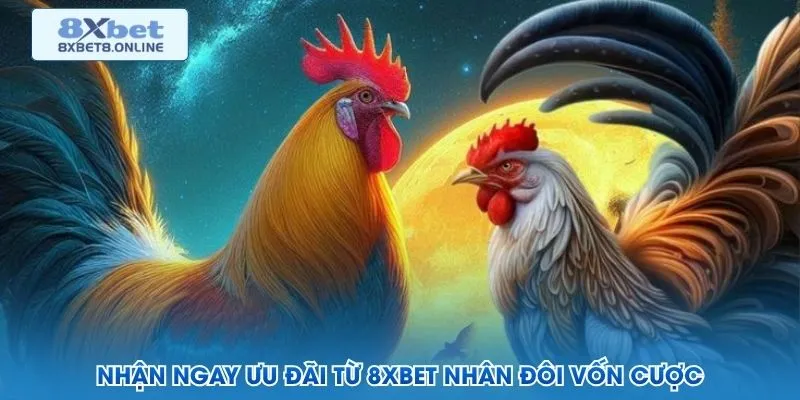 Nhận ngay ưu đãi từ 8XBET nhân đôi vốn cược